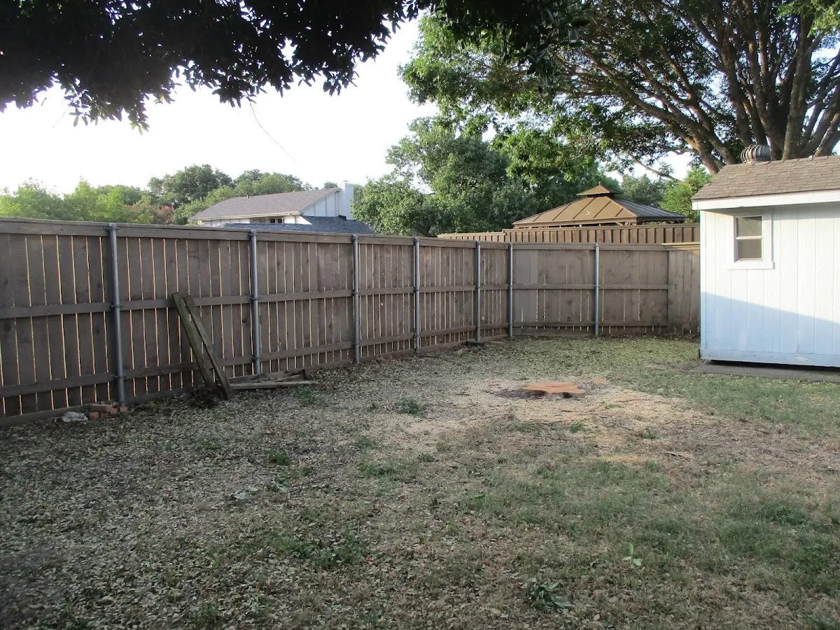 Cleared yard after professional tree removal in Harrison City
